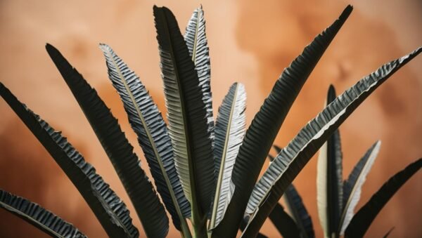 Cycas plants - Image 6