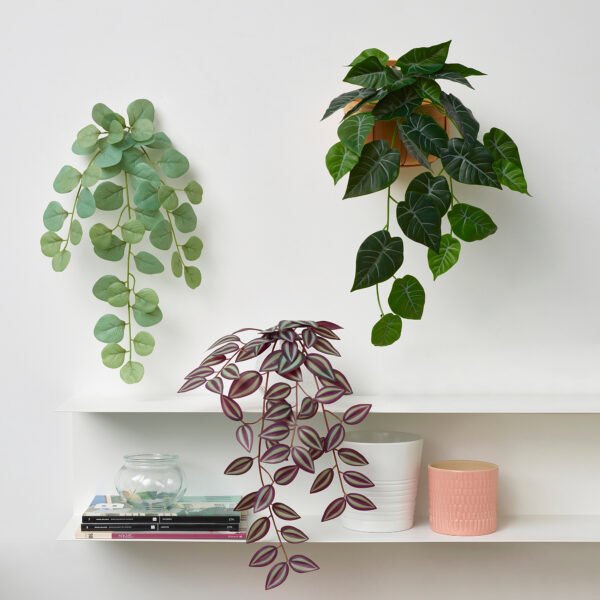 Hanging plants with screw fixing - Image 2
