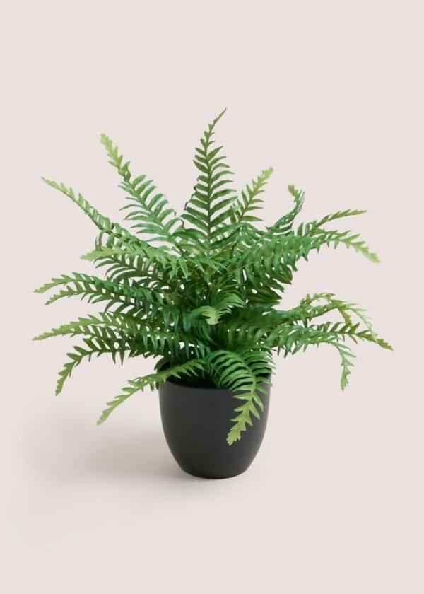 Fern Leaves - Image 2