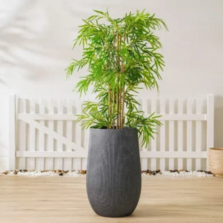 Janat grey with white fiber pot
