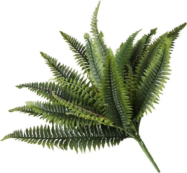 Fern Leaves - Image 5