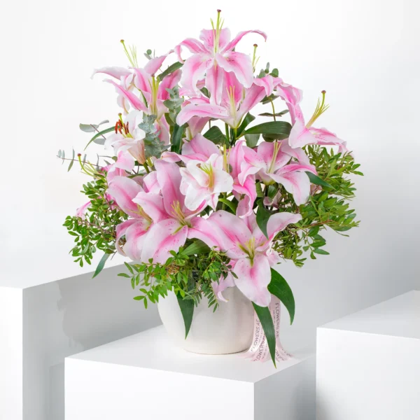 Lily plant (60-80cm H) - Image 8