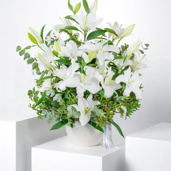 Lily plant (60-80cm H) - Image 5