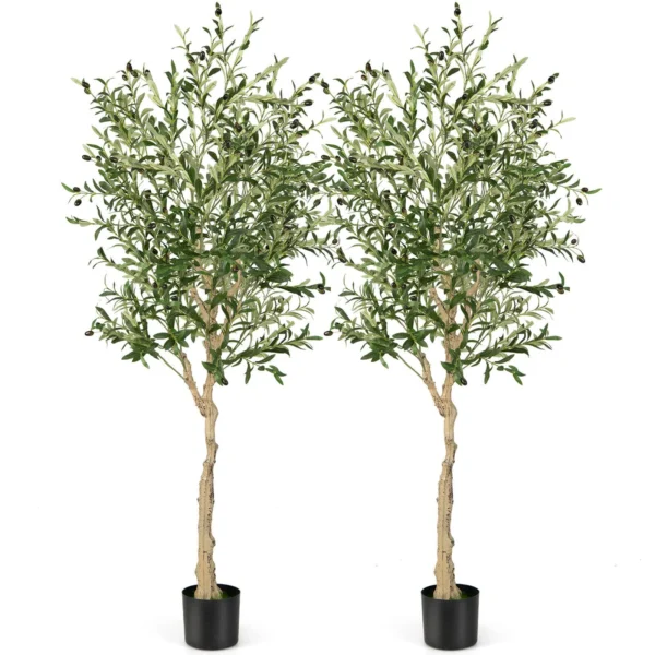 Kentia Plants (1.5cm Hight) - Image 5